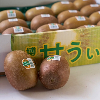 福岡産ブランド キウイ 甘うぃ 約3kg(24-33玉)(大木町)CO015
