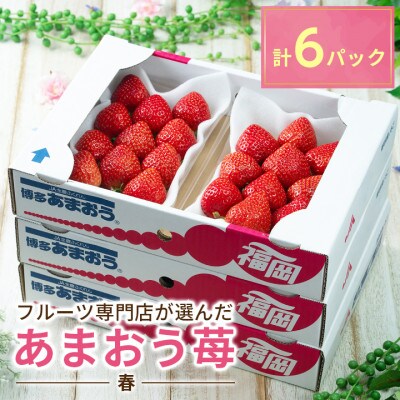 【2026年発送先行受付】福岡産【春】 あまおう 6パック(大木町)CO004