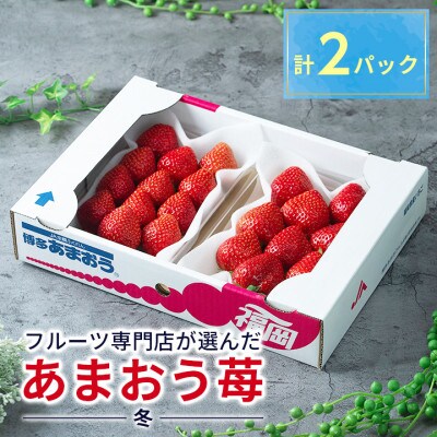 【11月下旬より順次発送】福岡産【冬】あまおう 2パック(大木町)CO001
