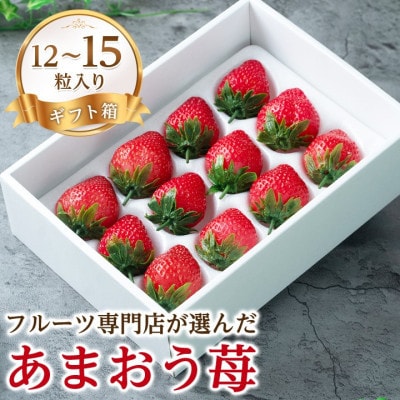 【11月下旬より順次発送】福岡産あまおう ギフト箱(12-15粒)(大木町)CO005