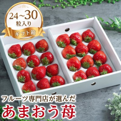 【11月下旬より順次発送】福岡産あまおう ギフト箱(24-30粒)(大木町)CO006