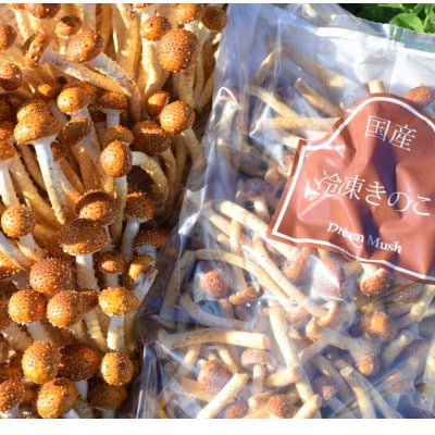 冷凍きのこセット250g×4種　計1kg(博多すぎたけ・しめじ・えのき・エリンギ)(大木町)AU07