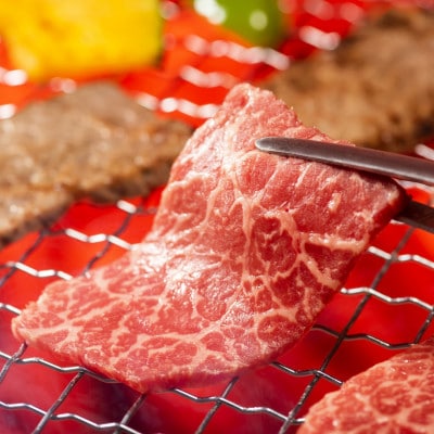 【A4～A5】博多和牛焼肉用　500g CP019(大木町)