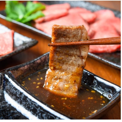 【A4～A5】博多和牛焼肉用　500g CP019(大木町)