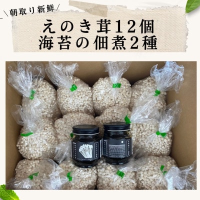 朝採り新鮮えのき茸と海苔の佃煮2種のセット BF02