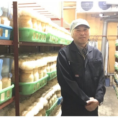 朝採り新鮮えのき茸と海苔の佃煮2種のセット BF02