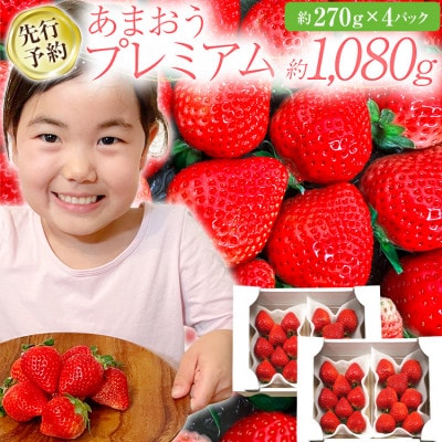 【先行予約/2025年】福岡県産あまおう約270g×4パック《2025年2月以降順次発送》CL001