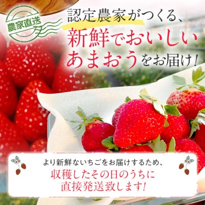 【先行予約/2025年】福岡県産あまおう約270g×4パック《2025年2月以降順次発送》CL001