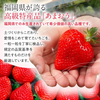 【先行予約/2025年】福岡県産あまおう約270g×4パック《2025年2月以降順次発送》CL001