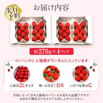 【先行予約/2025年】福岡県産あまおう約270g×4パック《2025年2月以降順次発送》CL001