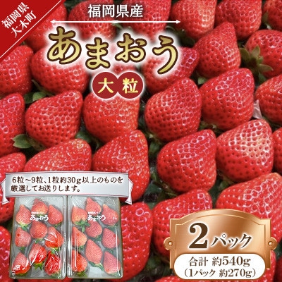 あまおう(大玉)2パック(270g/パック)(大木町) CT003