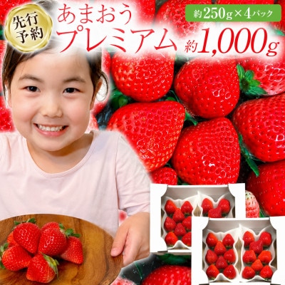 【先行予約】福岡県産あまおう約250g×4パック《2027年3月以降順次発送》CL002(大木町)