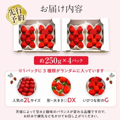 【先行予約】福岡県産あまおう約250g×4パック《2027年3月以降順次発送》CL002(大木町)