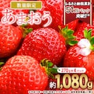 【2026年2月～順次発送】あまおう いちご 4パック(約1,080g)