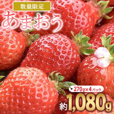 【2026年2月～出荷予定】あまおう いちご 4パック(約1,080g)