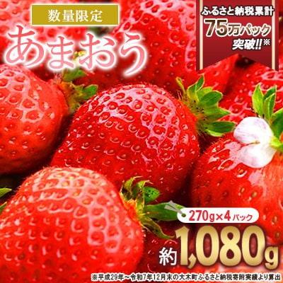 【2026年2月～順次発送】あまおう いちご 4パック(約1,080g)