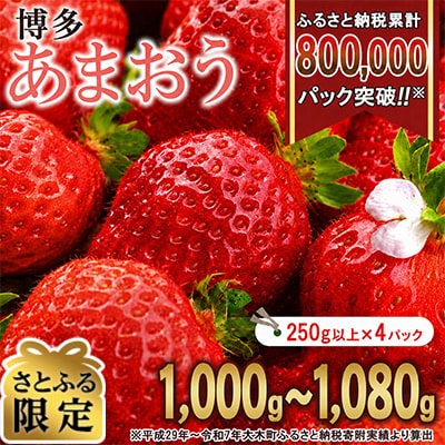 【さとふる限定】【2027年2月～順次発送】博多あまおういちご1000g以上(約250g×4パック)
