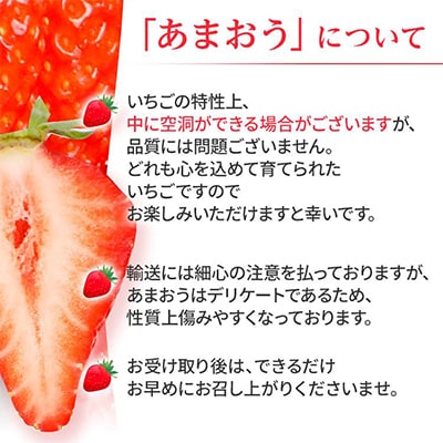【2026年2月～出荷予定】あまおう いちご 4パック(約1,080g)