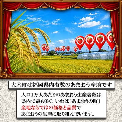 【さとふる限定】【2027年2月～順次発送】博多あまおういちご1000g以上(約250g×4パック)