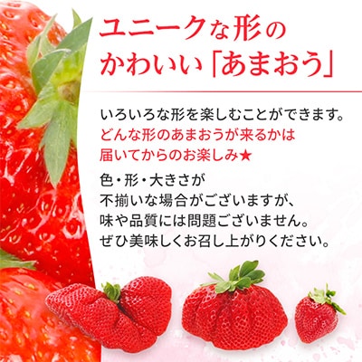 【2026年2月～出荷予定】あまおう いちご 4パック(約1,080g)