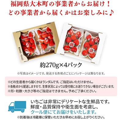 【2026年2月～出荷予定】あまおう いちご 4パック(約1,080g)