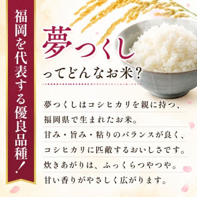 【令和7年産】福岡県産 お米 夢つくし 5キロ (5kg×1袋)