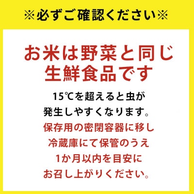 【令和7年産】福岡県産 お米 夢つくし 5キロ (5kg×1袋)