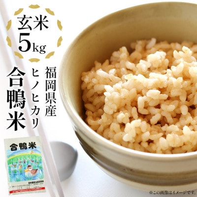 【先行予約】 令和8年産 合鴨米「ヒノヒカリ」(玄米・5kg) BI03