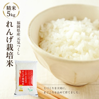 【先行予約】令和8年産 れんげ農法栽培米 元気つくし 精米5kg　BI17