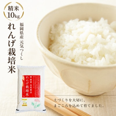 【先行予約】令和8年産 れんげ農法栽培米 元気つくし 精米10kg　BI23