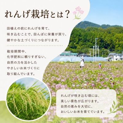 【先行予約】令和8年産 れんげ農法栽培米 元気つくし 精米10kg　BI23