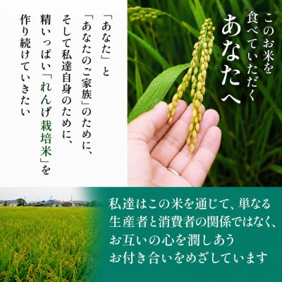 【先行予約】令和8年産 れんげ農法栽培米 元気つくし 精米10kg　BI23