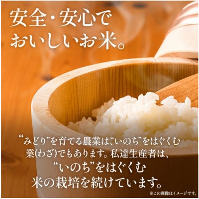 【先行予約】令和8年産 れんげ農法栽培米 元気つくし 精米10kg　BI23