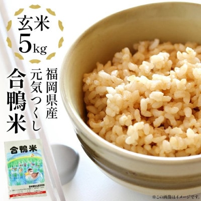 【先行予約】 令和8年産 合鴨米「元気つくし」(玄米・5kg) BI09