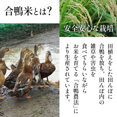 【先行予約】 令和8年産 合鴨米「元気つくし」(玄米・10kg)  BI21