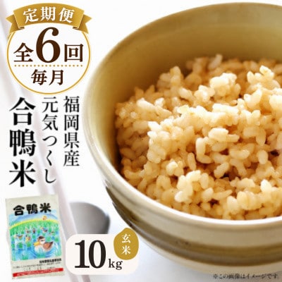 【毎月定期便】合鴨米「元気つくし」(玄米・10kg) BI25全6回