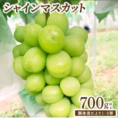 福岡県大木町産 シャインマスカット 約700g(1房から2房)　DC003