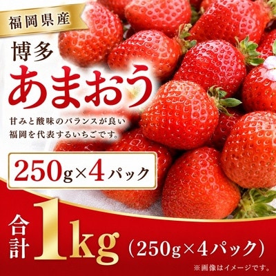 【2027年3月～発送】博多あまおう 1キロ(約250g×4パック)