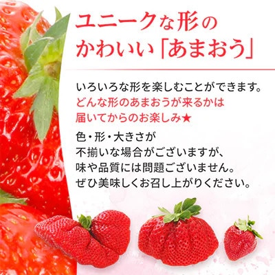 【2027年3月～発送】博多あまおう 1キロ(約250g×4パック)