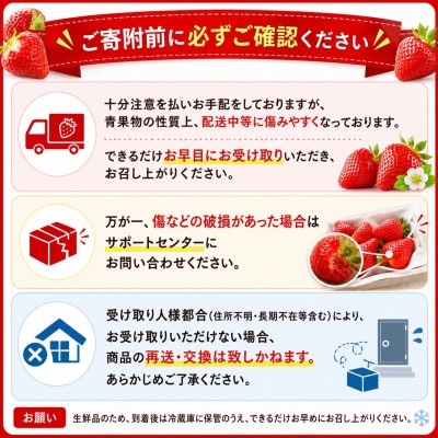 【2027年3月～発送】博多あまおう 1キロ(約250g×4パック)
