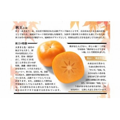 【2026年10月下旬～11月発送】秋王 計約3.5kg