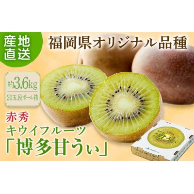 【2027年10月下旬～11月中旬発送】博多甘うぃ(キウイフルーツ) 計3.6kg