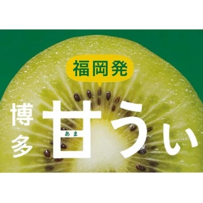 【2027年10月下旬～11月中旬発送】博多甘うぃ(キウイフルーツ) 計3.6kg