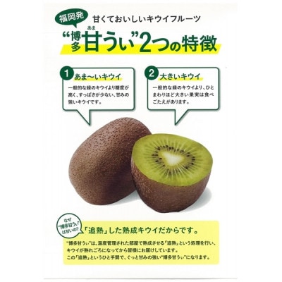 【2027年10月下旬～11月中旬発送】博多甘うぃ(キウイフルーツ) 計3.6kg
