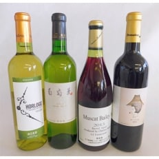 甲府ワイン4種飲み比べセット