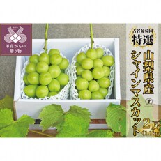 【全房糖度測定済み】山梨県産 シャインマスカット 2房　(約1.1kg) | ふるさと納税のお礼品