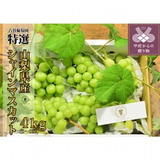 【全房糖度測定済み】特選 シャインマスカット 約4kg (5～8房) | ふるさと納税のお礼品