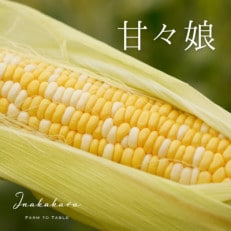 2023年6月より順次発送!【山梨県甲府市産】Inakakara甘々娘20本 | ふるさと納税のお礼品