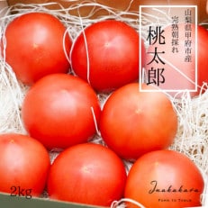 2023年4月中旬より順次発送!【山梨県甲府市産】Inakakara桃太郎トマト2kg | ふるさと納税のお礼品