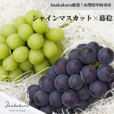 2023年発送!【山梨県甲府市産】Inakakara「シャインマスカット」と「藤稔」の詰め合わせ | ふるさと納税のお礼品